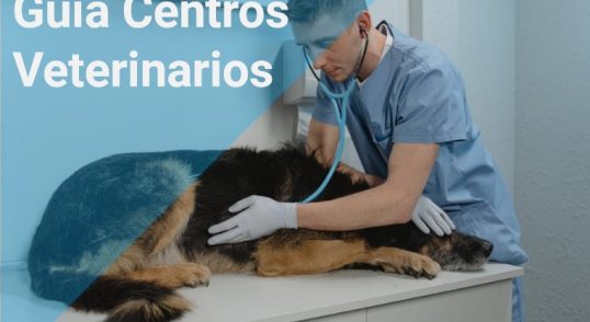centros veterinarios