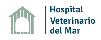 Hospital Veterinario del Mar 31