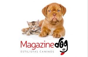 Magazine Dog 42