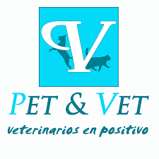 Clínica PET AND VET 13